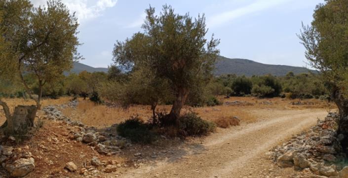 Image No.17-Plot for sale