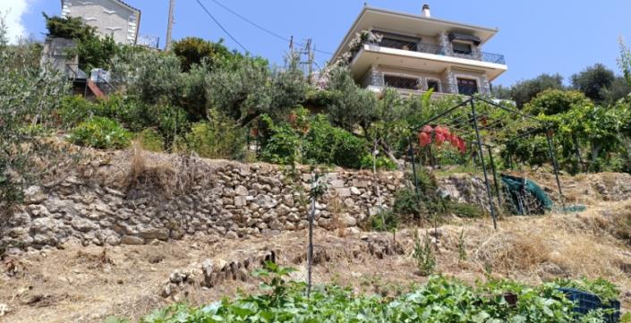 Image No.55-8 Bed House for sale