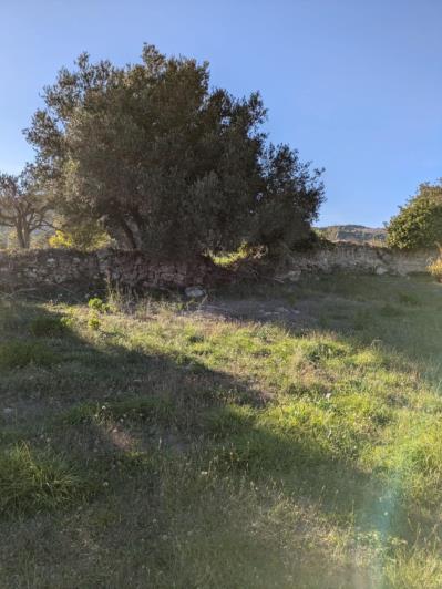 Image No.11-Land for sale