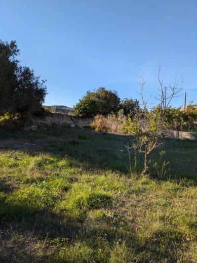 Image No.12-Land for sale