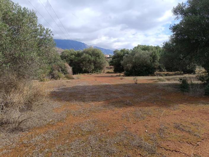 Image No.2-Terre à vendre à Peratata