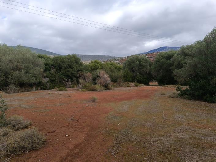 Image No.3-Terre à vendre à Peratata