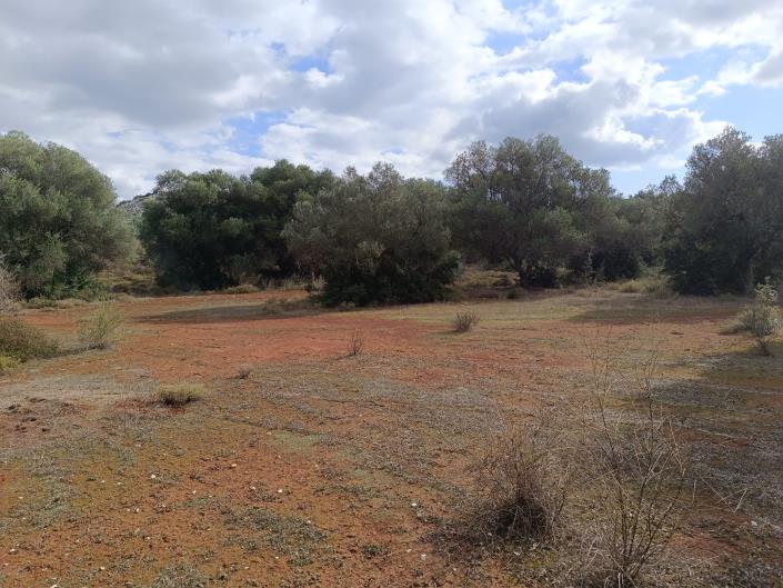 Image No.4-Terre à vendre à Peratata