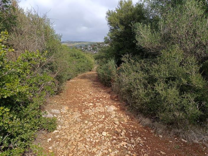 Image No.5-Terre à vendre à Peratata