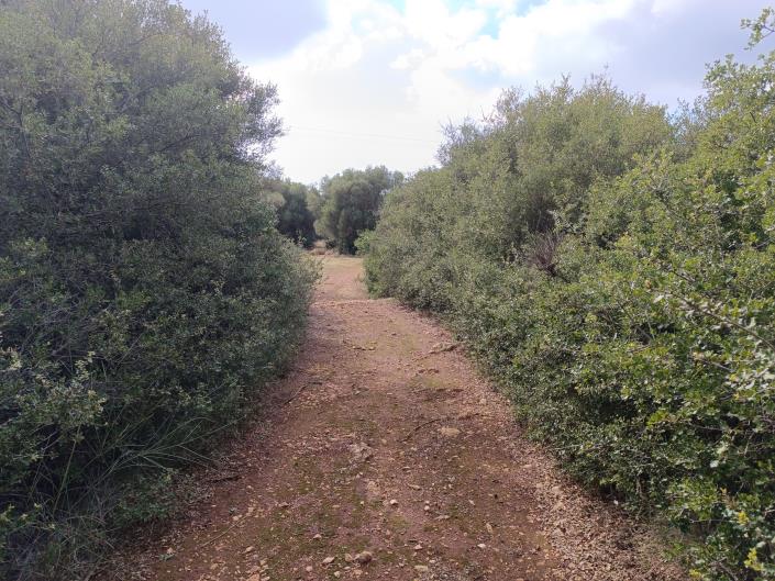 Image No.6-Terre à vendre à Peratata