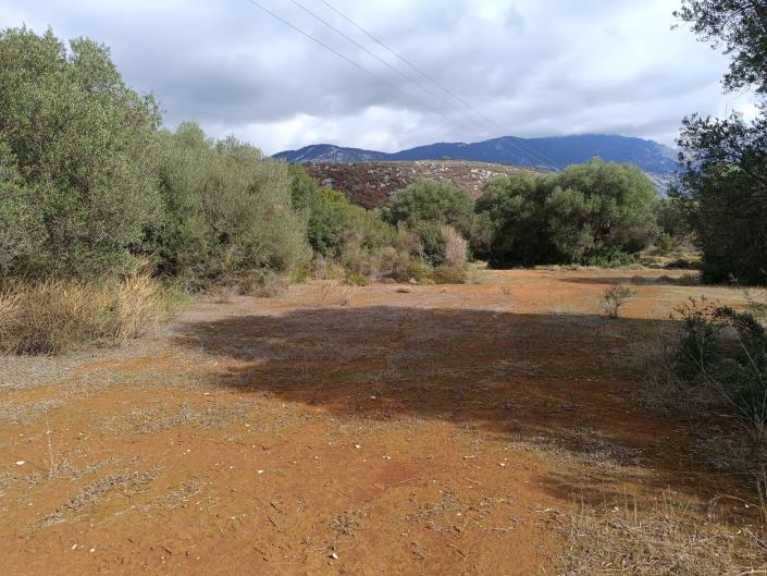 Image No.7-Terre à vendre à Peratata