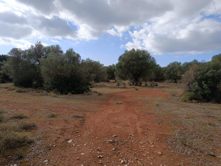 Image No.8-Terre à vendre à Peratata