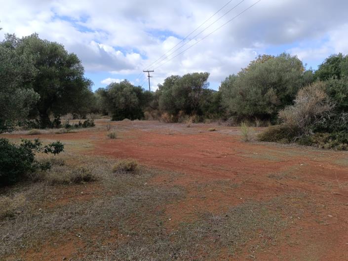 Image No.9-Terre à vendre à Peratata