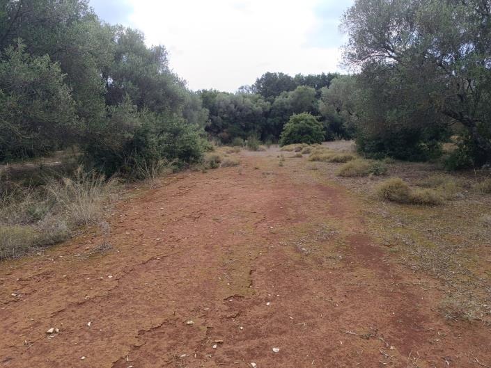 Image No.10-Terre à vendre à Peratata