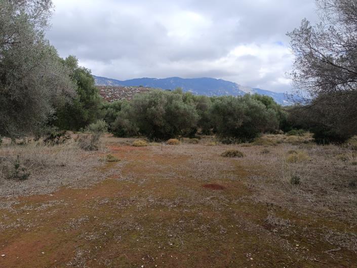 Image No.12-Terre à vendre à Peratata