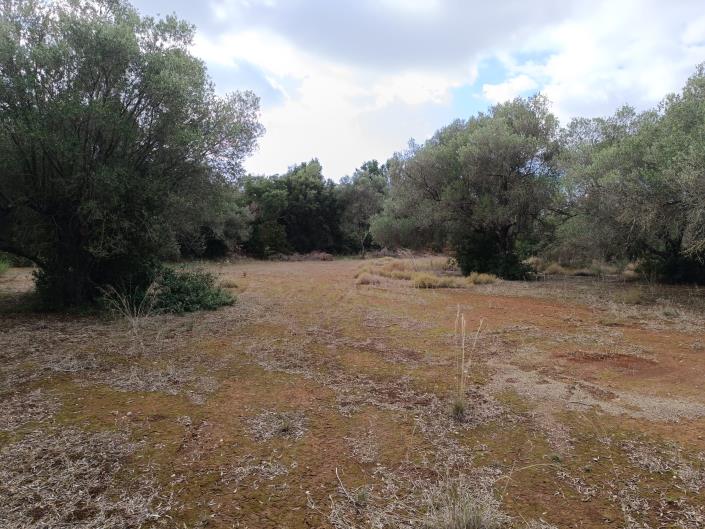 Image No.13-Terre à vendre à Peratata