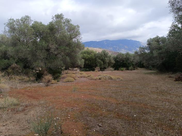 Image No.14-Terre à vendre à Peratata