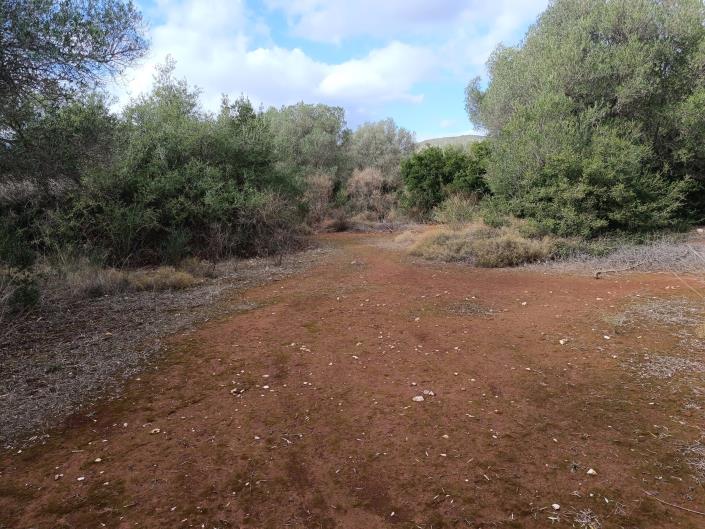 Image No.15-Terre à vendre à Peratata