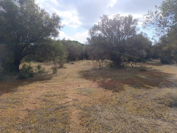 Image No.16-Terre à vendre à Peratata