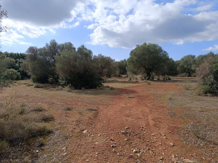 Image No.17-Terre à vendre à Peratata