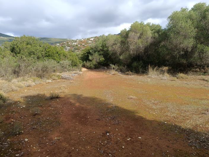 Image No.18-Terre à vendre à Peratata