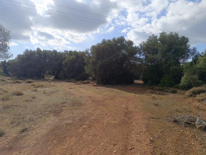 Image No.19-Terre à vendre à Peratata