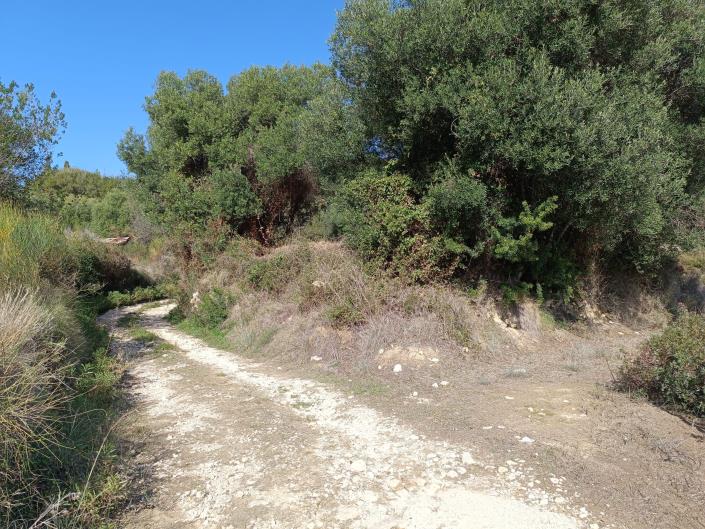 Image No.9-Plot for sale