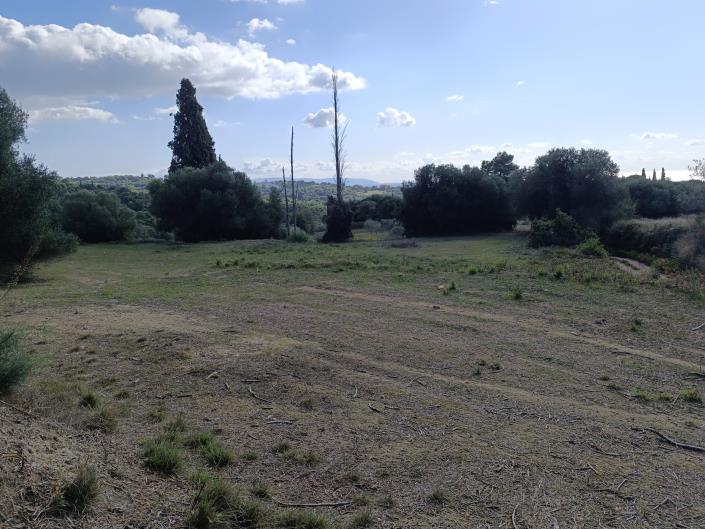 Image No.11-Plot for sale