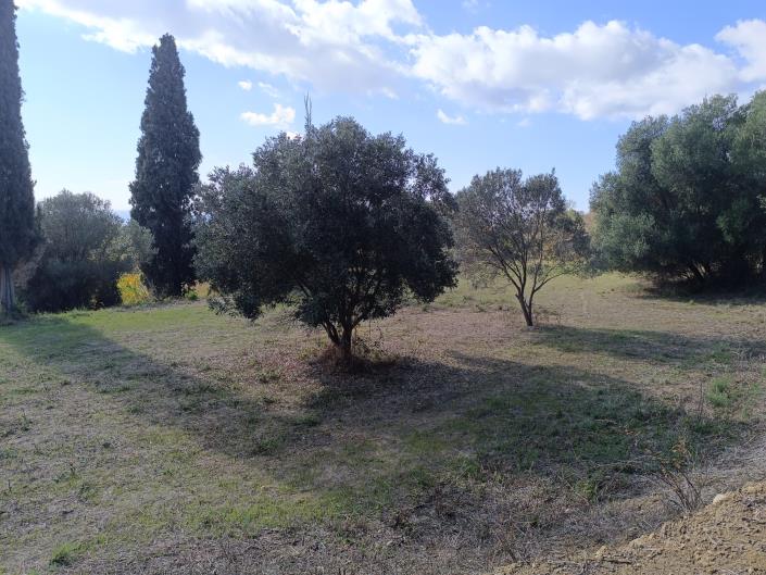 Image No.16-Plot for sale