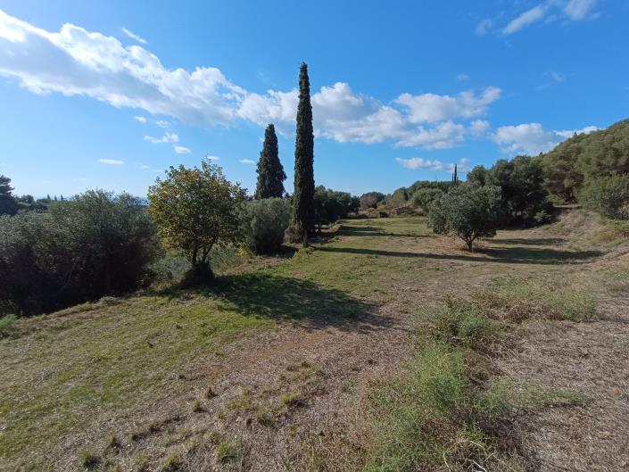 Image No.19-Plot for sale