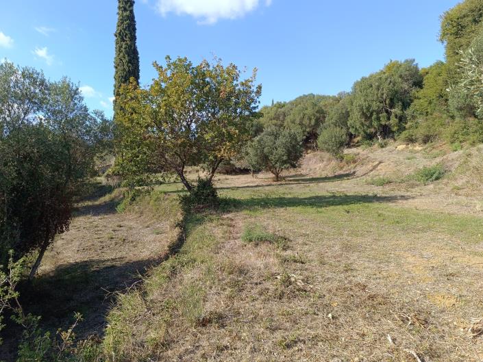 Image No.22-Plot for sale