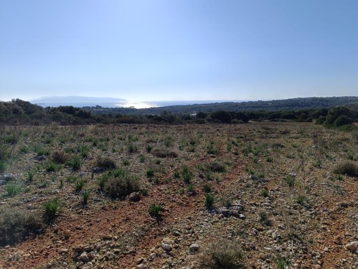 Image No.1-Land for sale