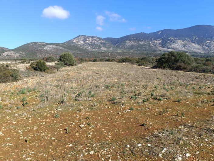 Image No.13-Land for sale