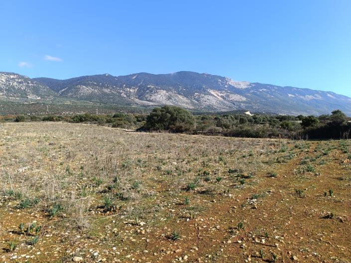 Image No.16-Land for sale