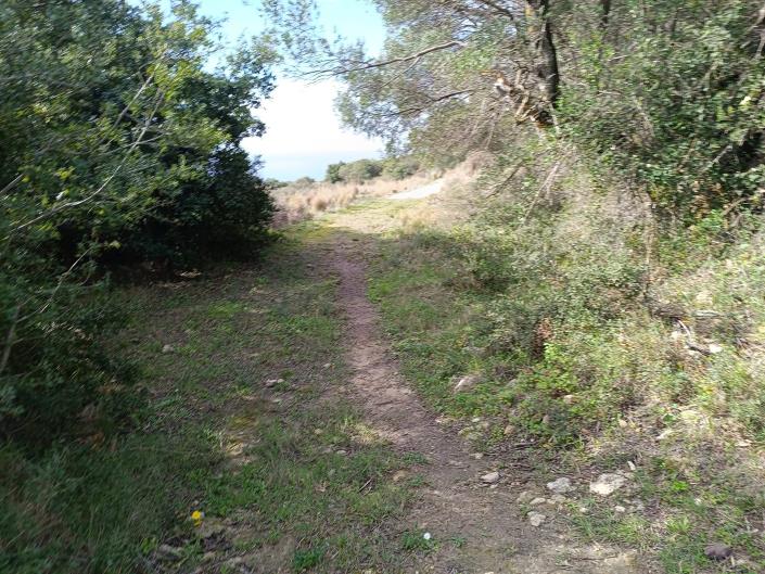 Image No.6-Plot for sale