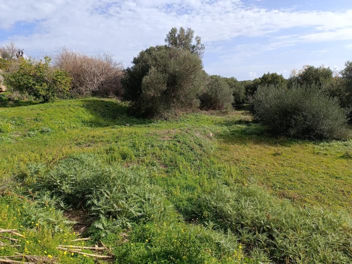 Image No.12-Plot for sale