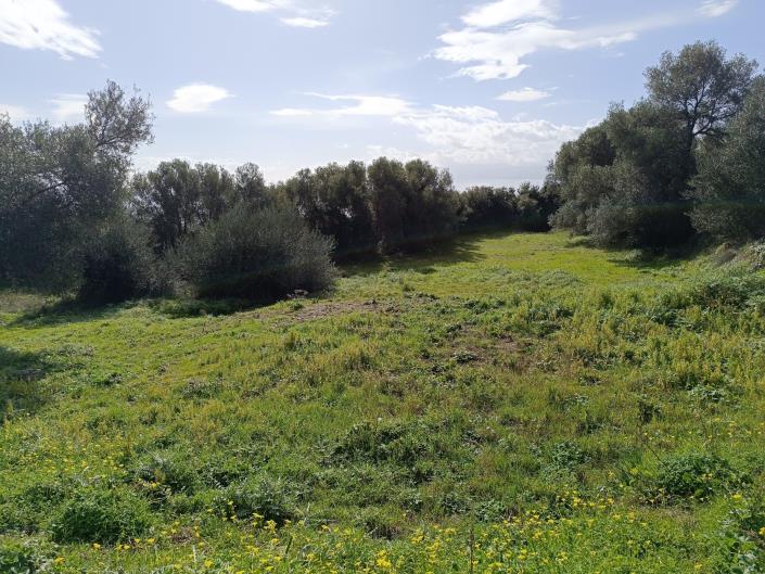 Image No.18-Plot for sale