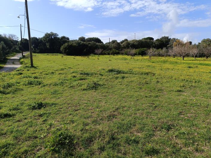 Image No.4-Plot for sale