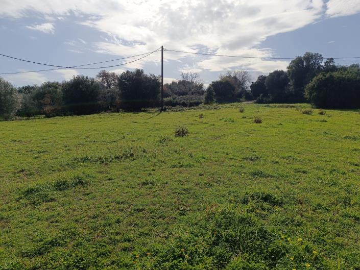 Image No.12-Plot for sale