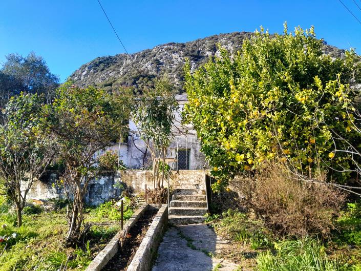 Image No.3-3 Bed House for sale