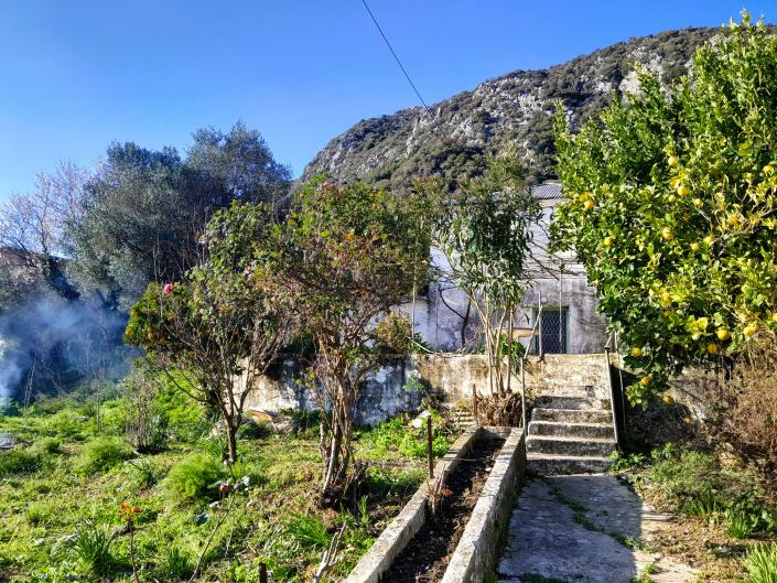 Image No.4-3 Bed House for sale