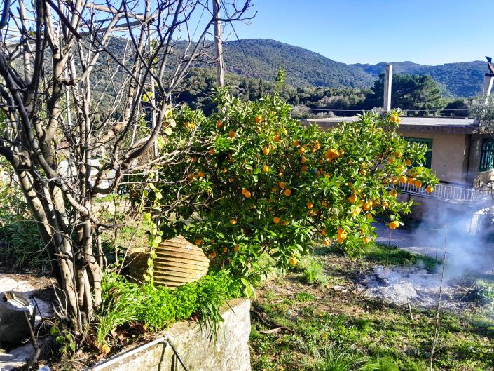 Image No.10-3 Bed House for sale