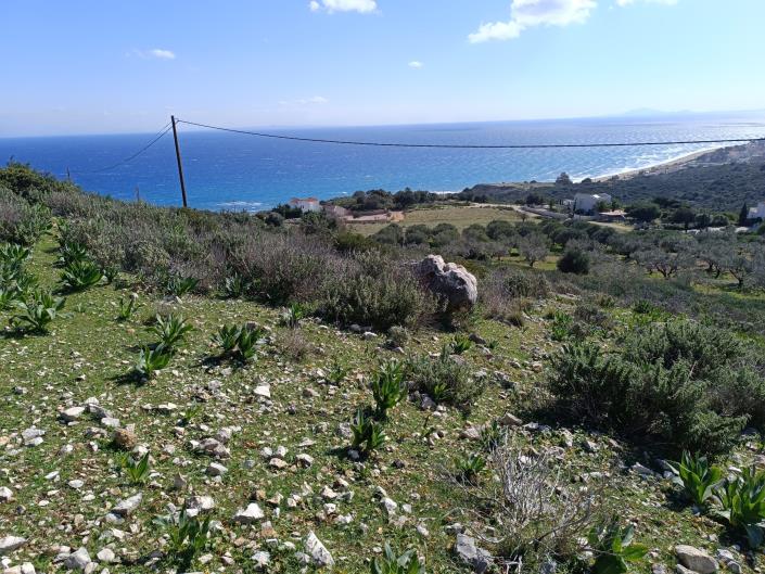Image No.1-Terre à vendre à Skala