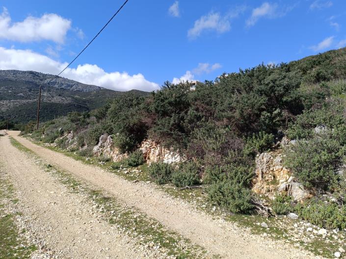 Image No.6-Land for sale