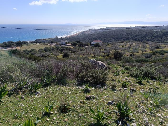 Image No.11-Land for sale