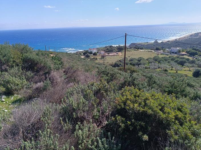 Image No.15-Land for sale