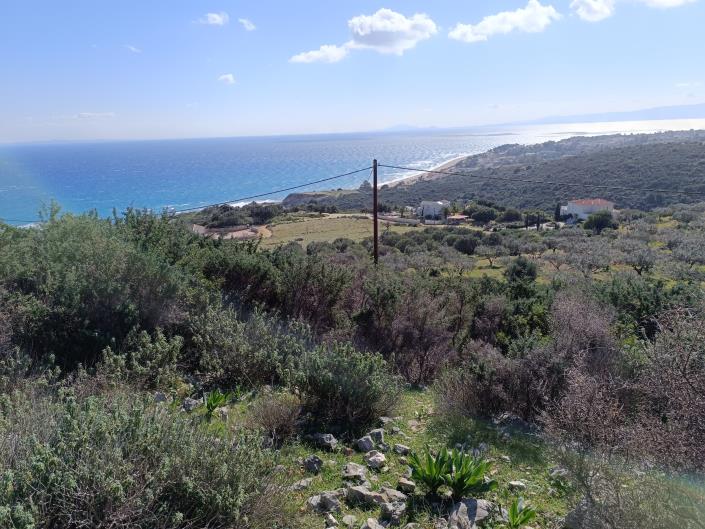 Image No.19-Land for sale