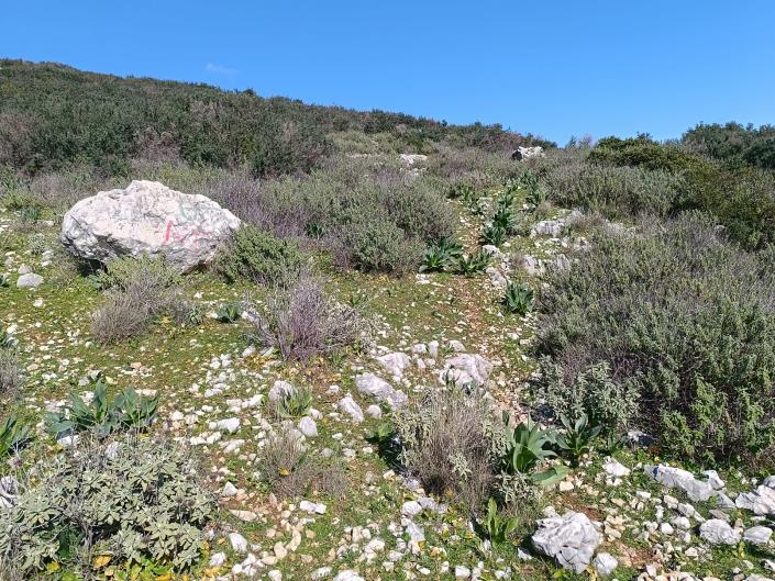 Image No.21-Land for sale