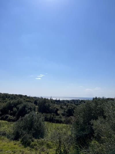 Image No.1-Plot for sale