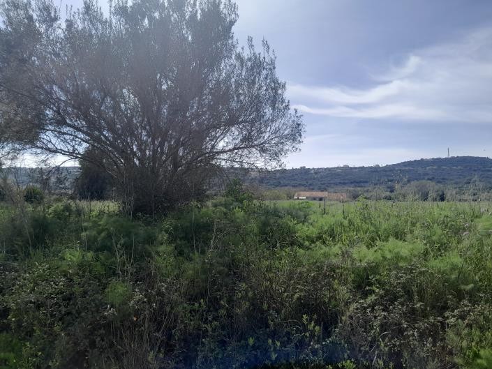 Image No.4-Plot for sale