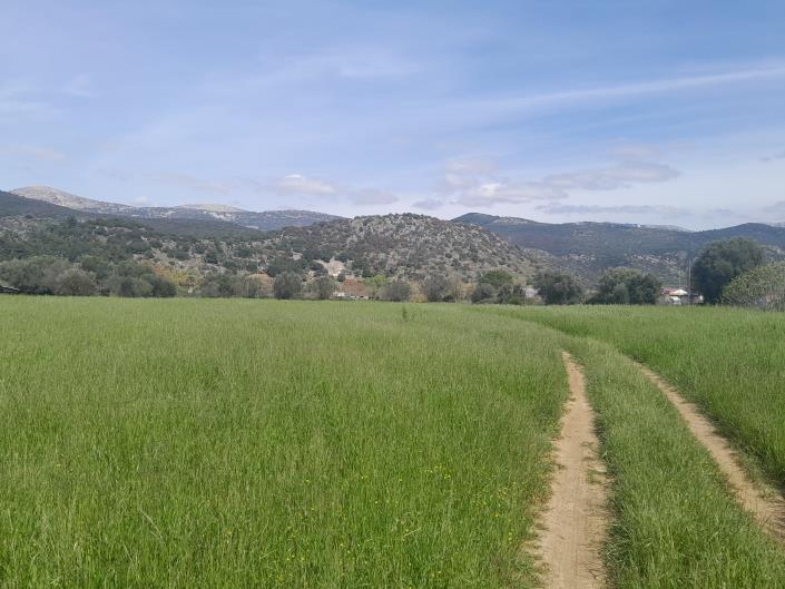 Image No.20-Plot for sale