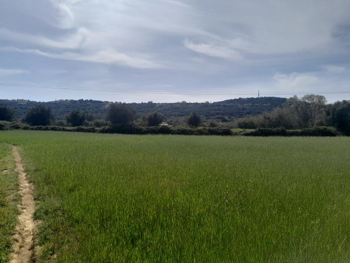 Image No.23-Plot for sale