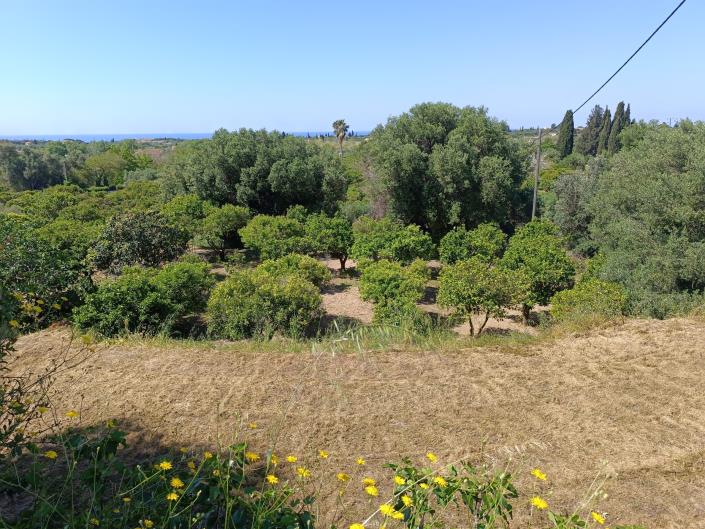 Image No.16-Land for sale