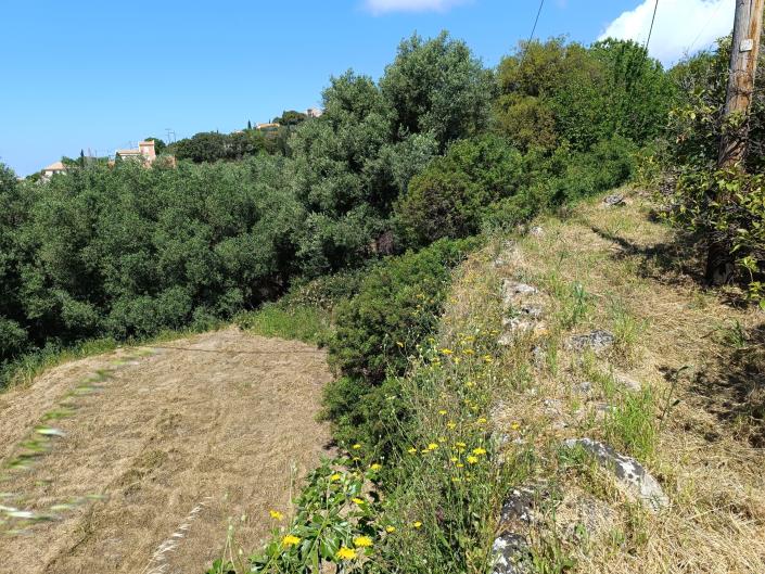 Image No.17-Land for sale