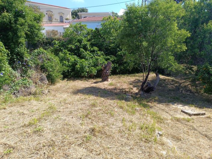 Image No.20-Land for sale